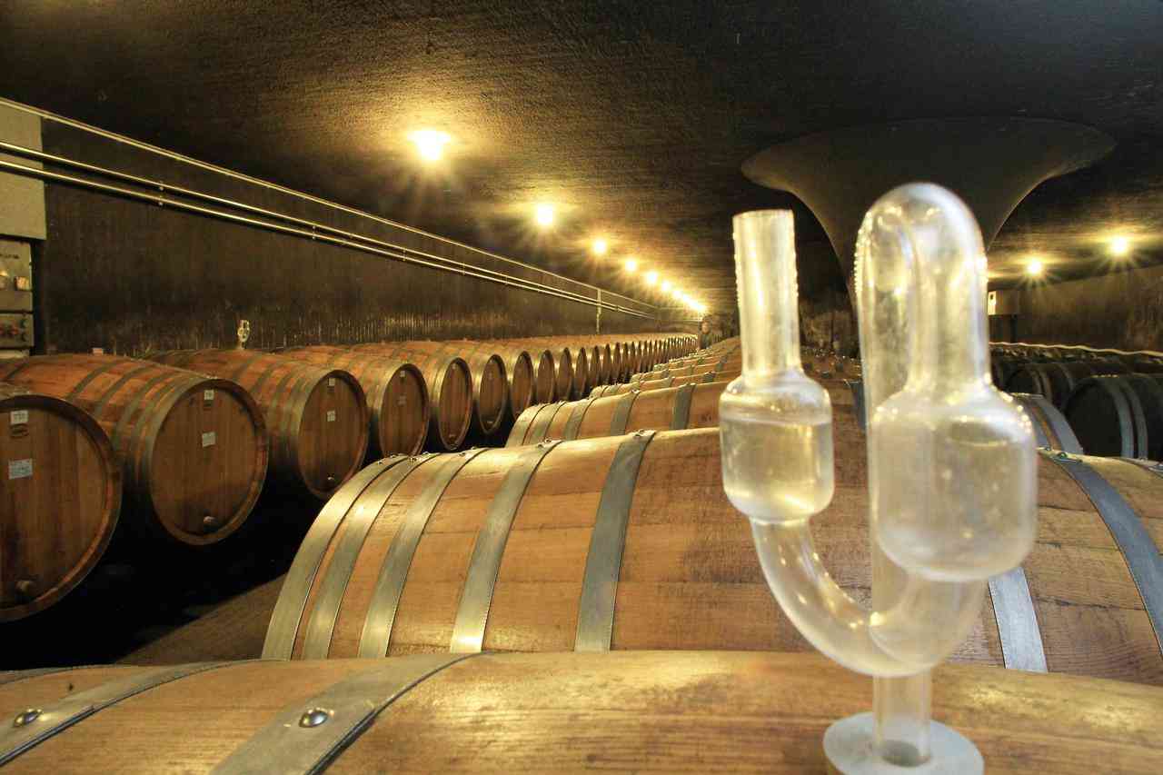 Bischöfliche Weingüter Trier