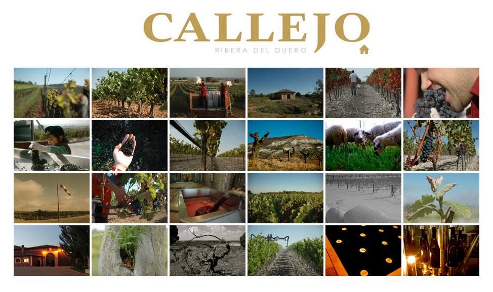 Flores de Callejo Bodegas Felix Callejo