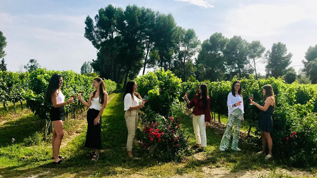 Bodega Otto Bestué tinto joven