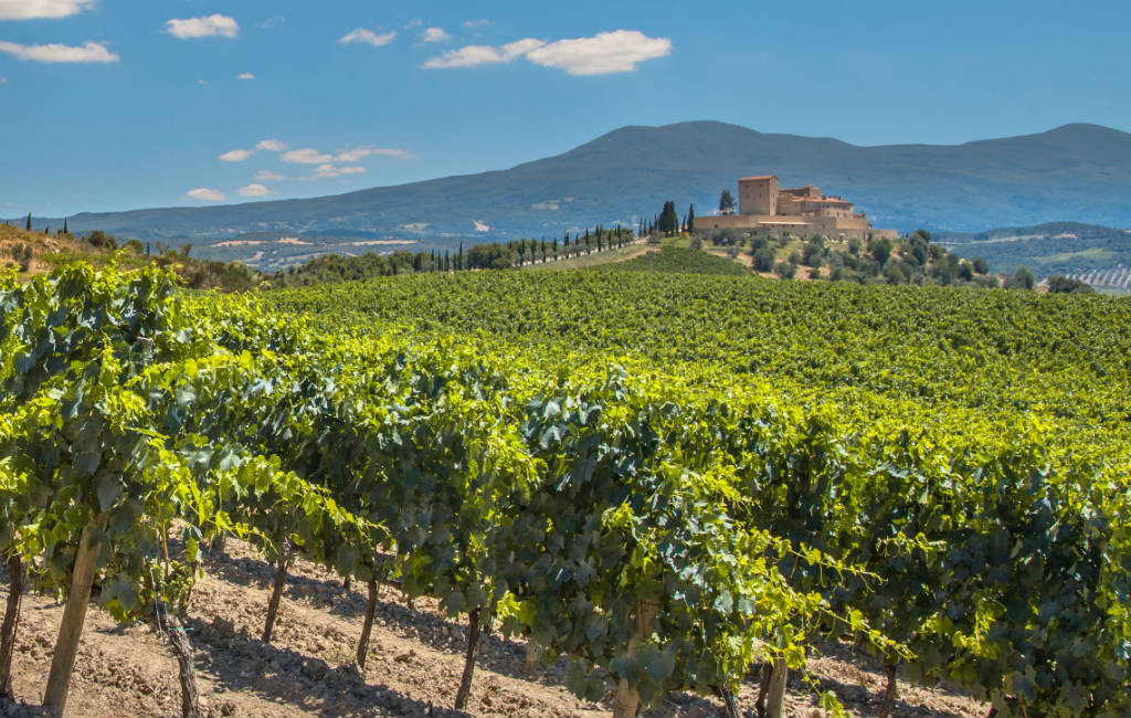 Herminia Tinto Excelsus Rioja Herminia Tinto Excelsus Rioja