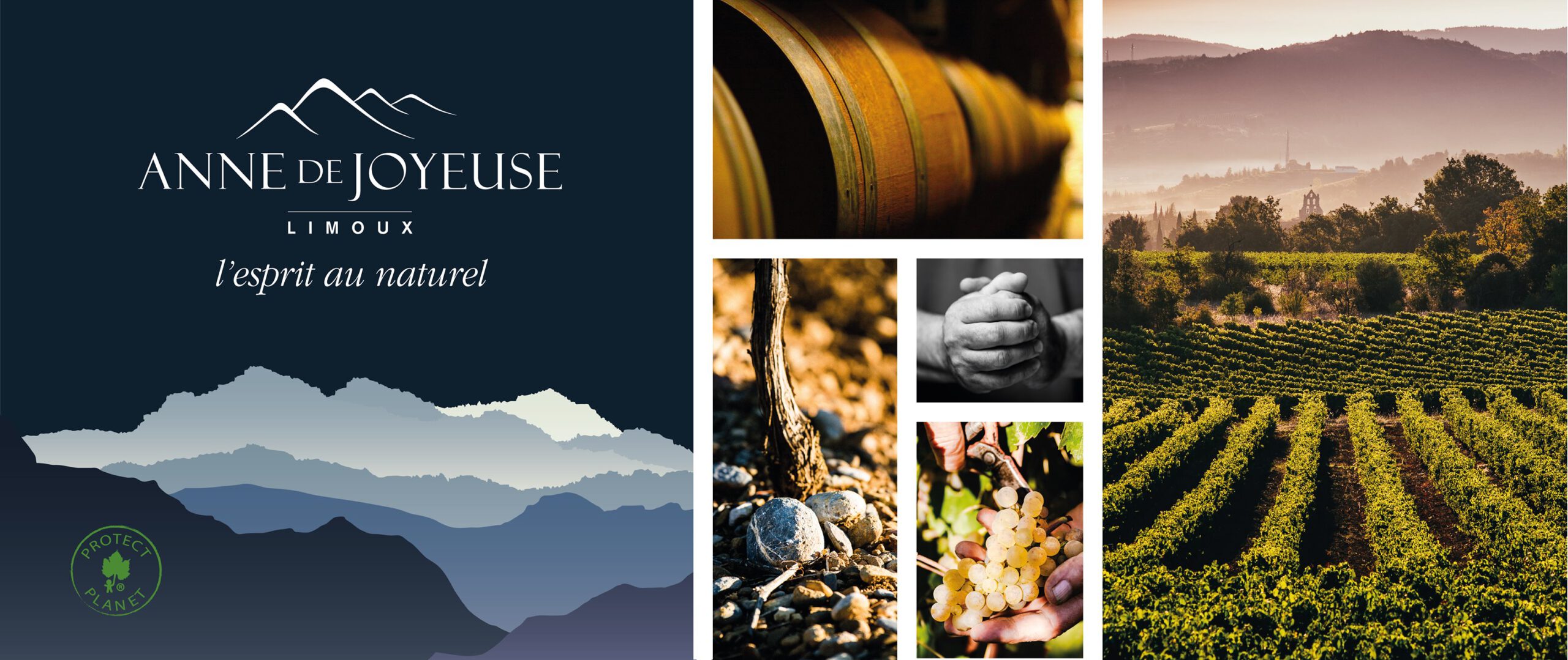 Very Limoux Viognier