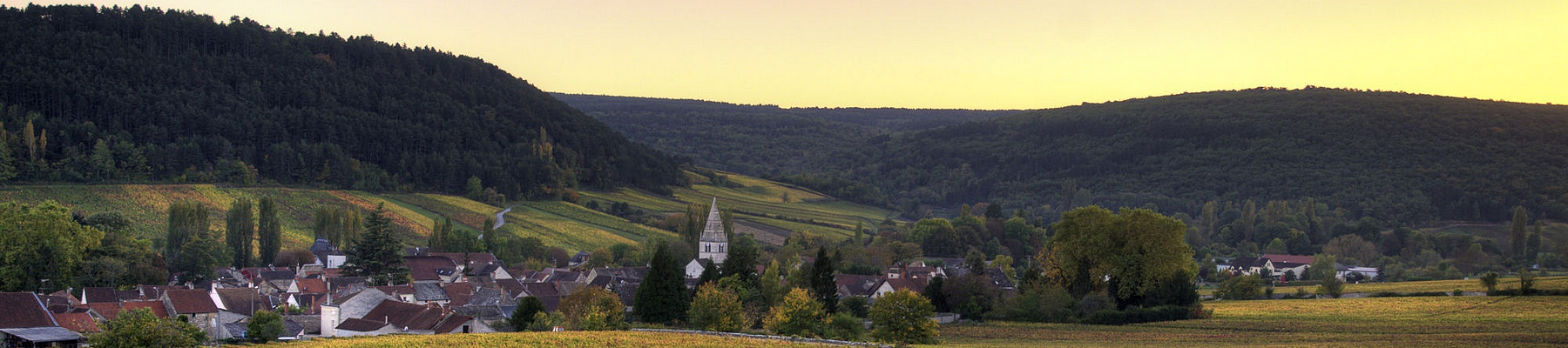 Monthelie Les Duresses Blanc
