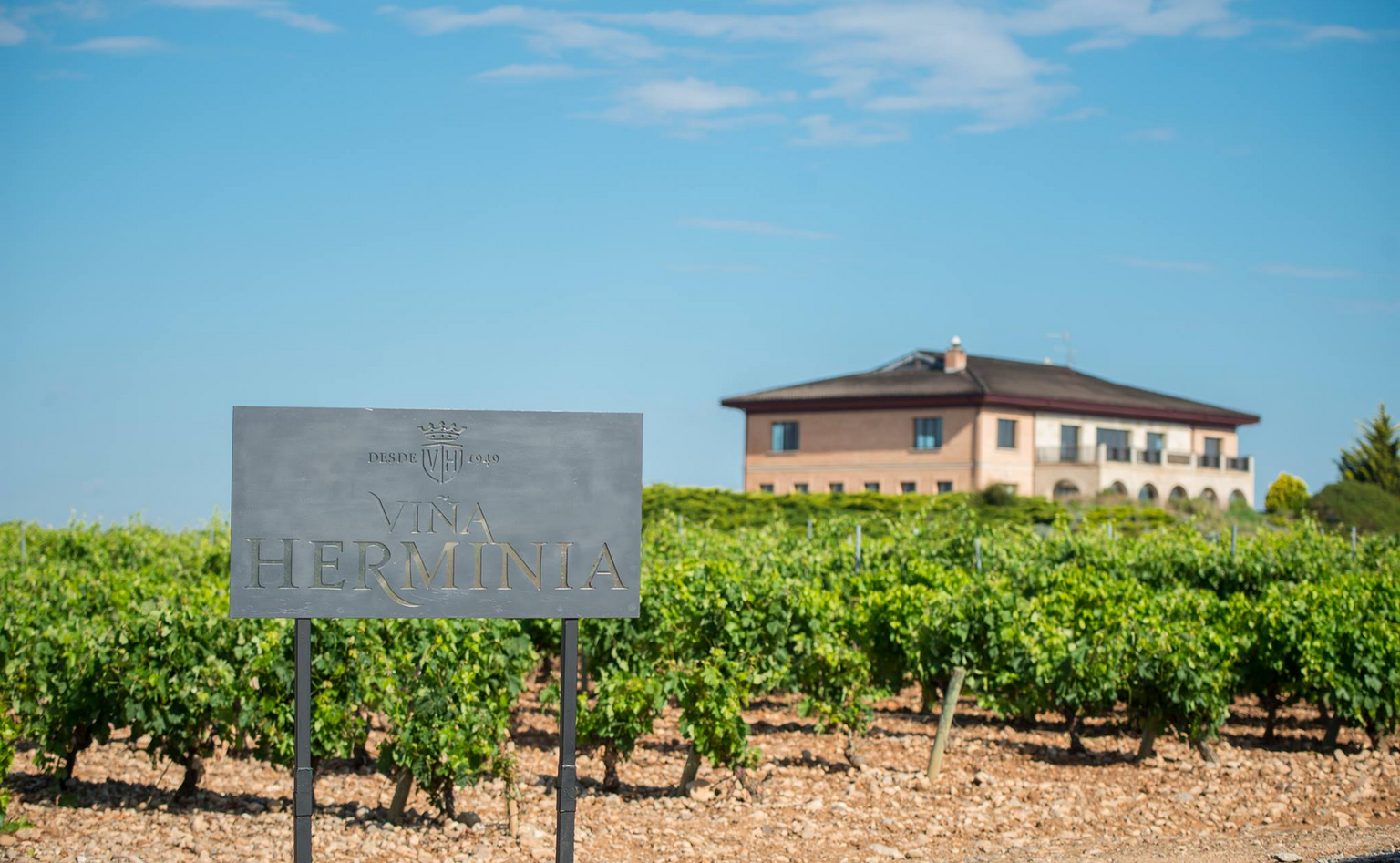 Herminia Tinto Joven Herminia Tinto Joven