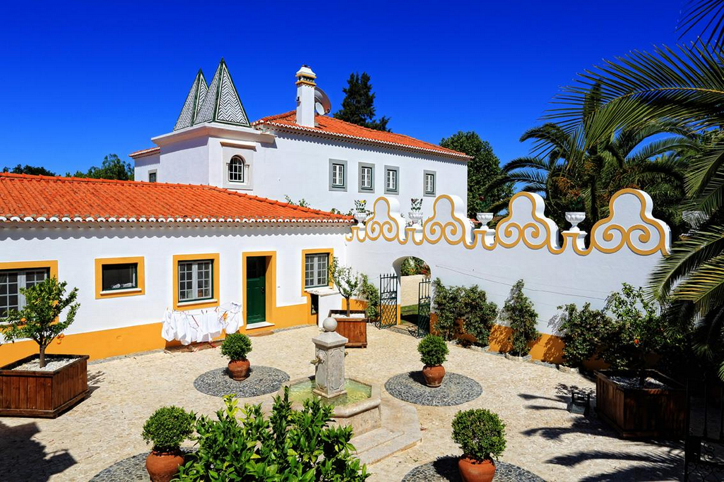 Clemente deB Colheita Tardia