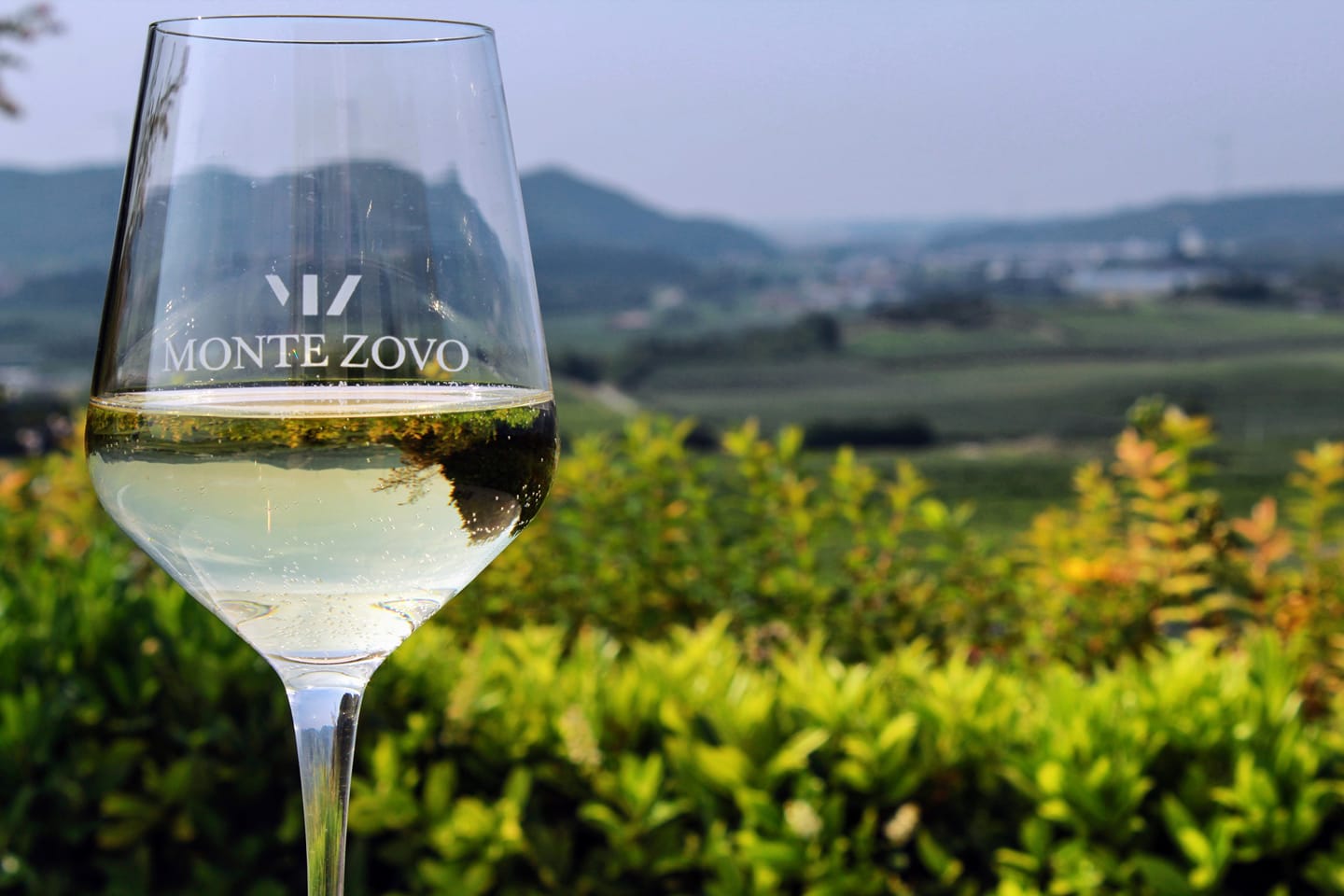 Caligo Rosso Verona Monte Zovo