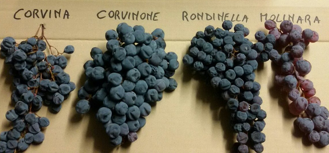 Recioto della Valpolicella Recioto della Valpolicella