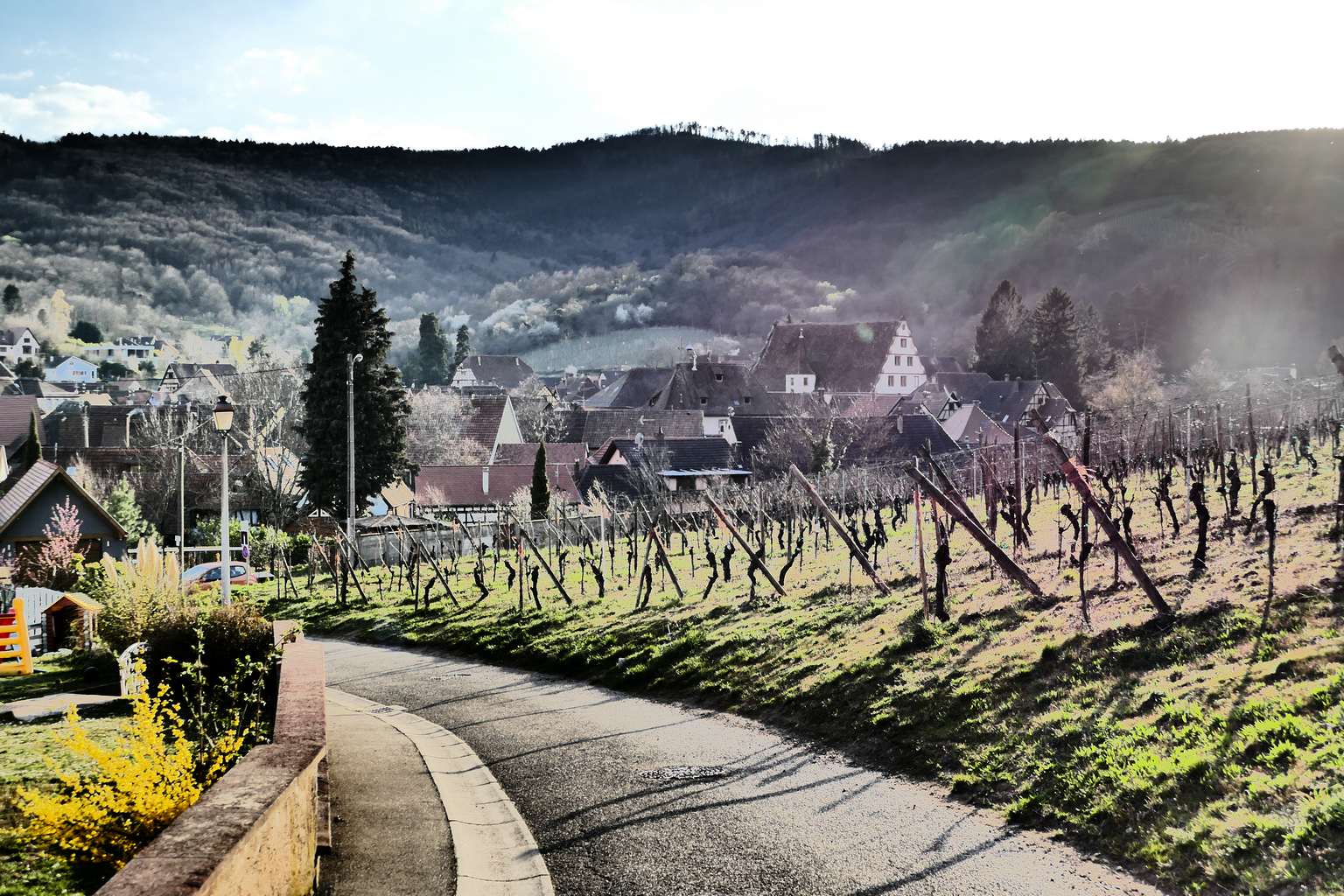 Muscat Cuvée Prestige Kuhlmann-Platz