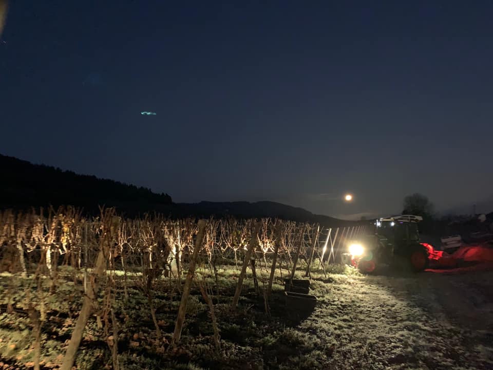 Blees Ferber Eiswein