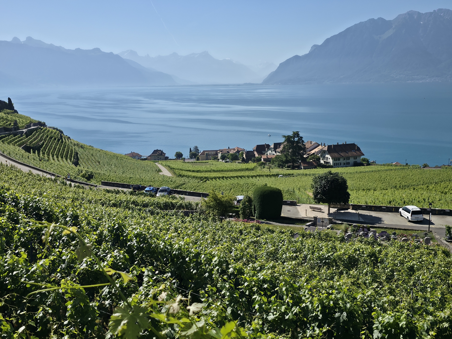 Lavaux